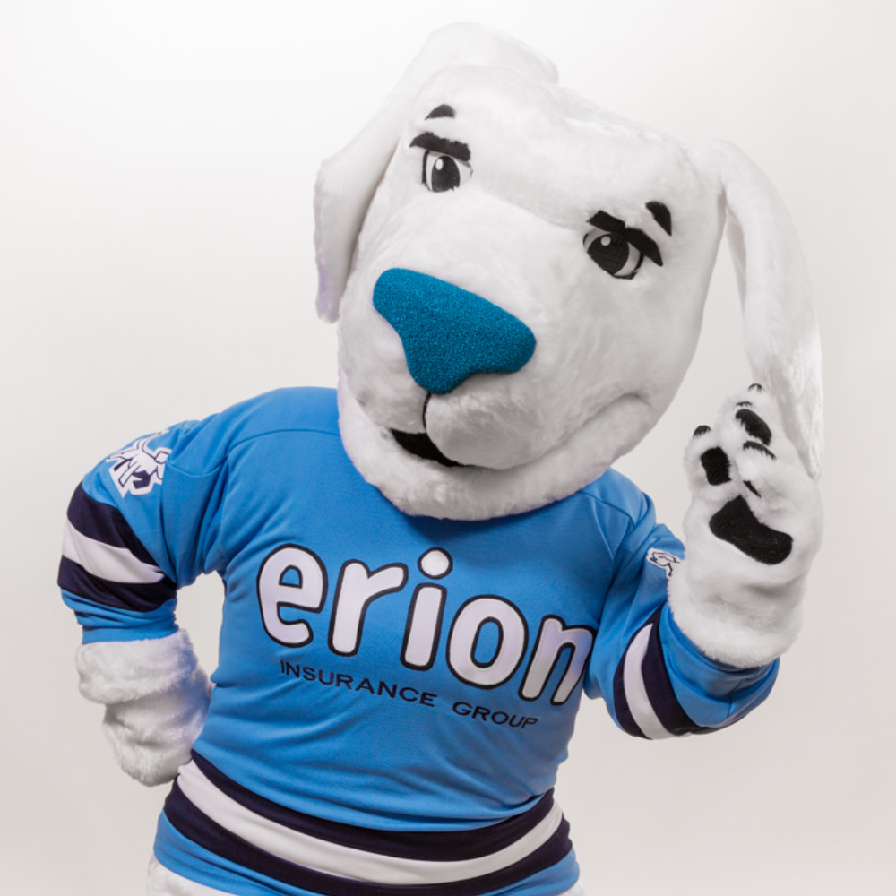 Erion Insurance Mascot- Schooner