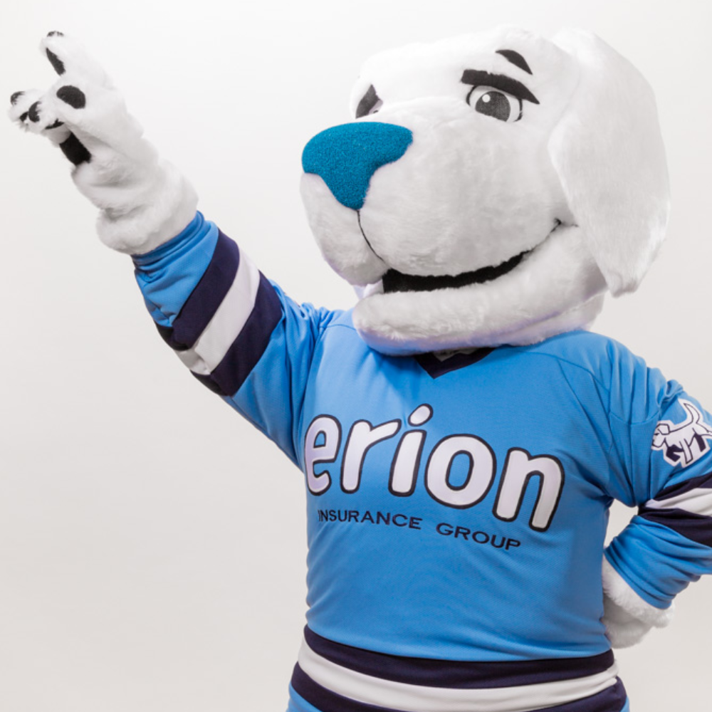 Erion Insurance Mascot- Schooner