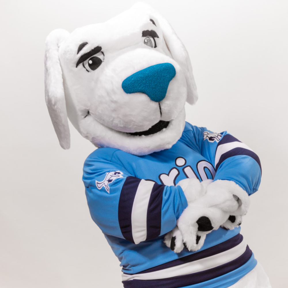 Erion Insurance Mascot- Schooner